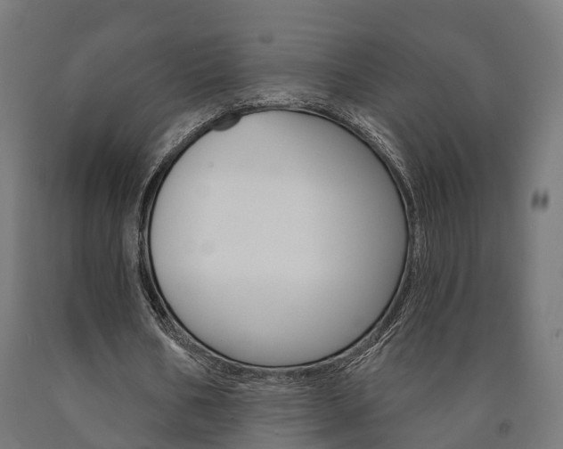X0000091000578200708021227