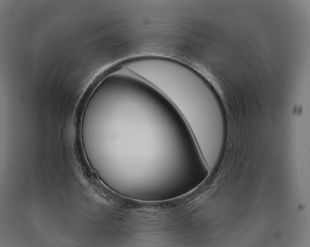 X0000091000580200708021227
