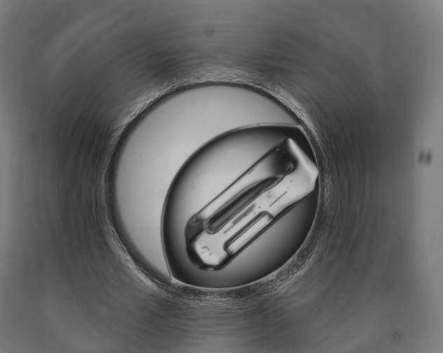 X0000091000581200708021227