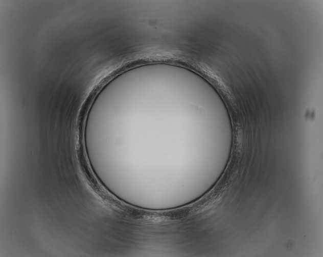 X0000091000582200708021227