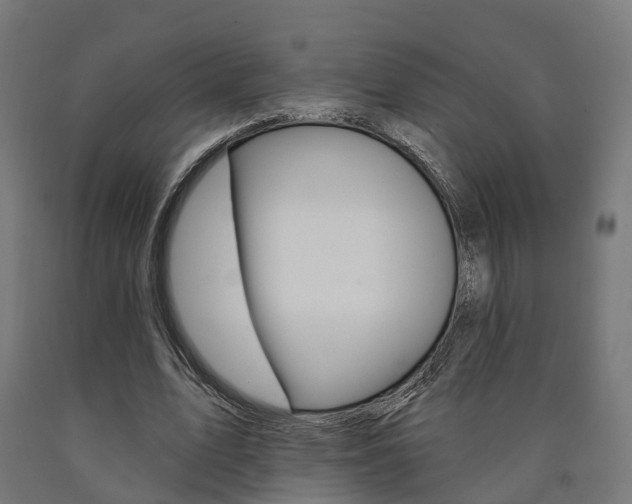 X0000091000583200708021227