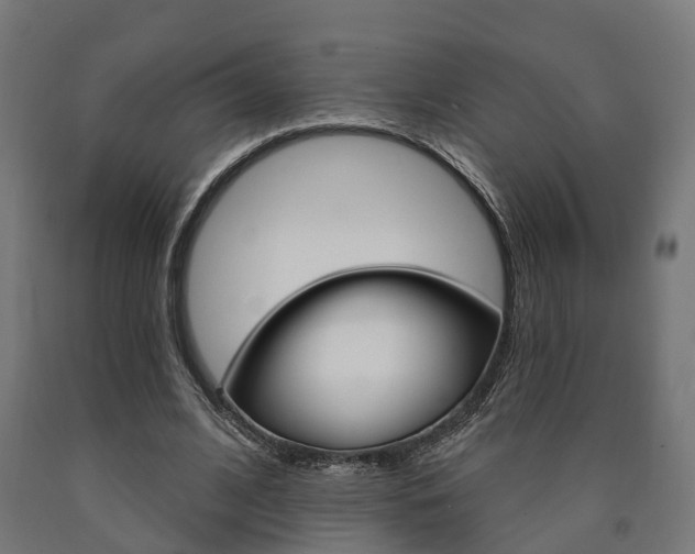 X0000091000584200708021227