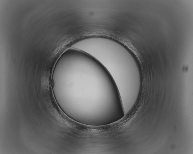X0000091000585200708021227