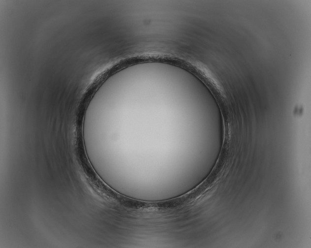 X0000091000588200708021227