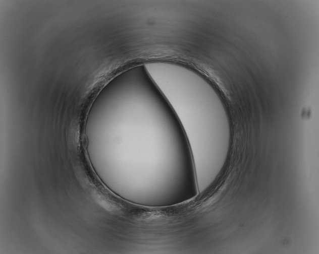 X0000091000589200708021227