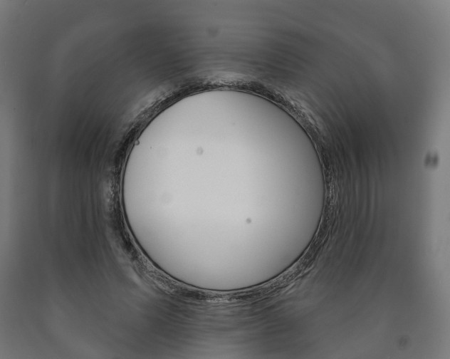 X0000091000591200708021227