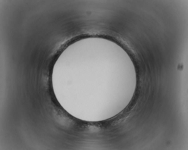 X0000091000592200708021227