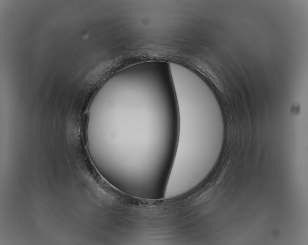X0000091000593200708021227