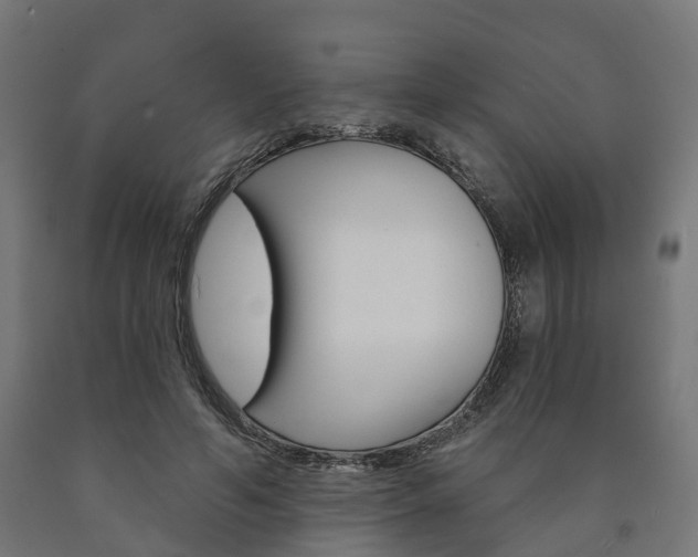 X0000091000594200708021227