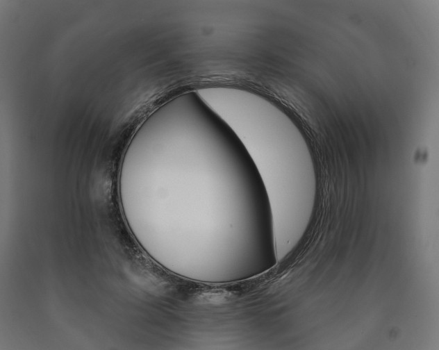 X0000091000595200708021227