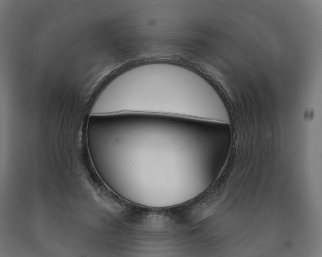 X0000091000596200708021227