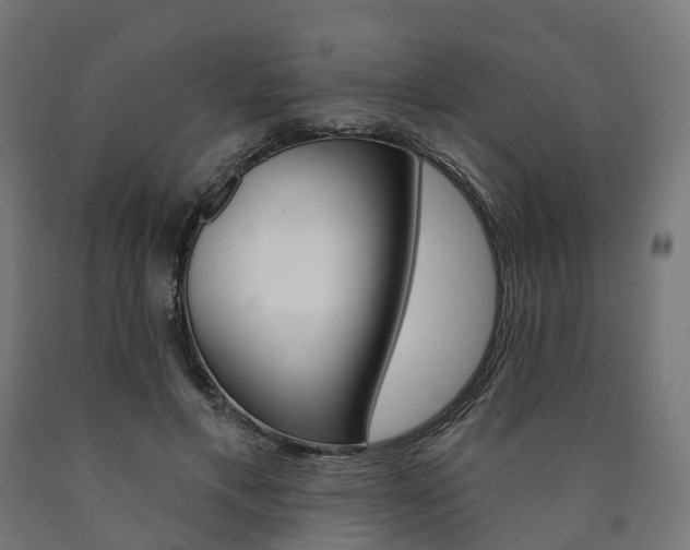 X0000091000597200708021227