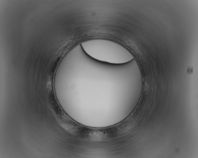 X0000091000598200708021227