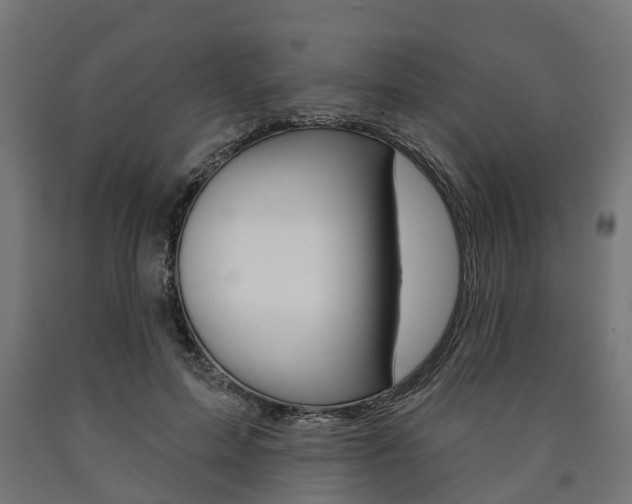 X0000091000599200708021227