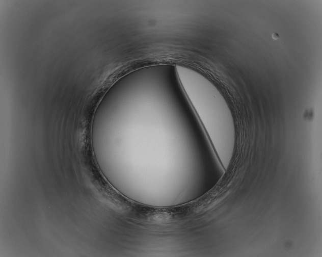 X0000091000600200708021227