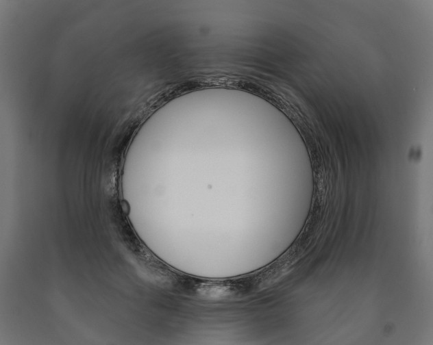 X0000091000602200708021227