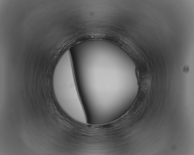 X0000091000604200708021227