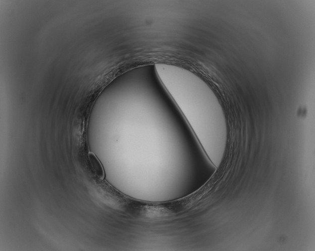 X0000091000605200708021226