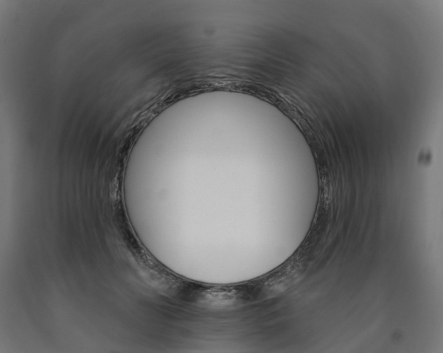 X0000091000606200708021226