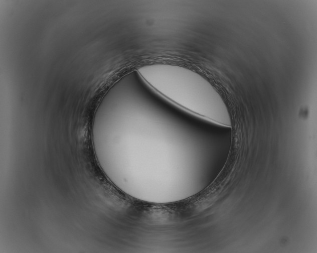 X0000091000608200708021226
