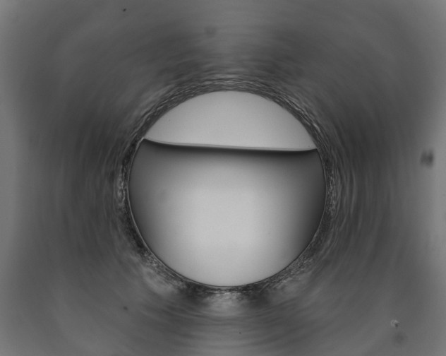 X0000091000609200708021226