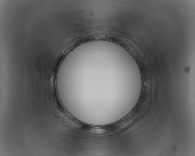 X0000091000610200708021226