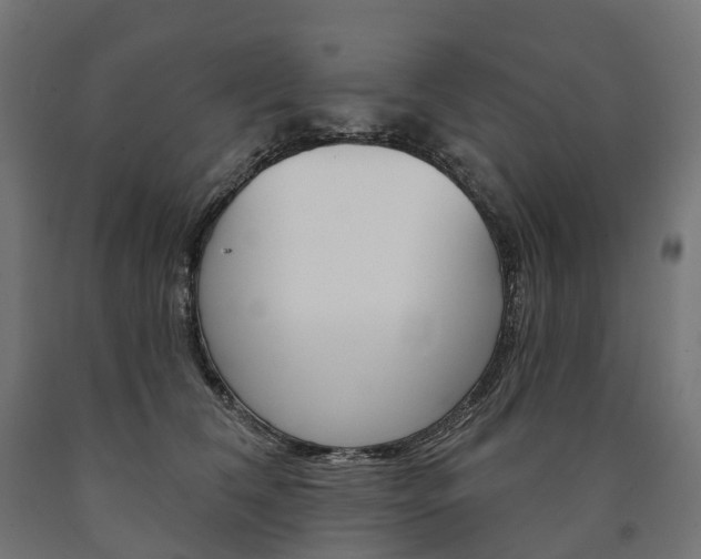 X0000091000612200708021226