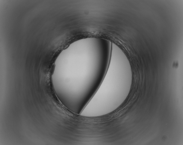 X0000091000613200708021226