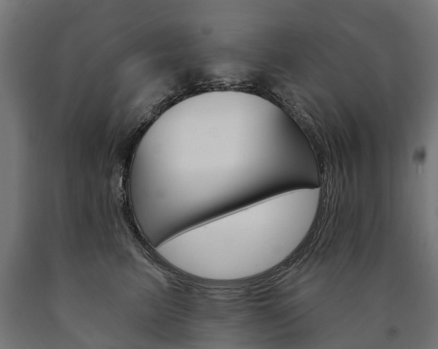 X0000091000615200708021226