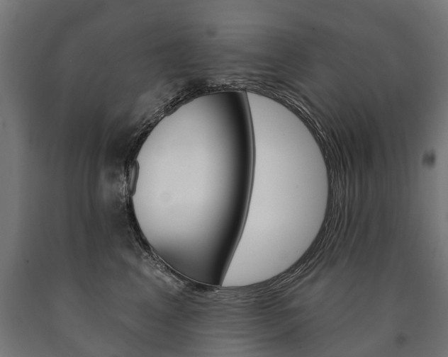 X0000091000617200708021226