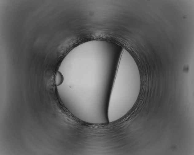 X0000091000619200708021226