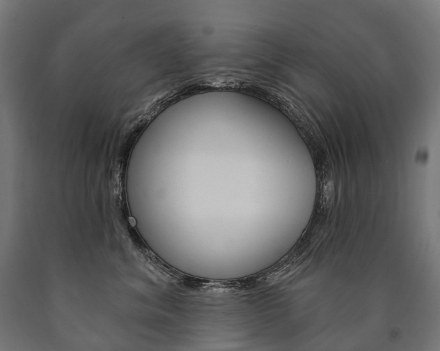 X0000091000620200708021226