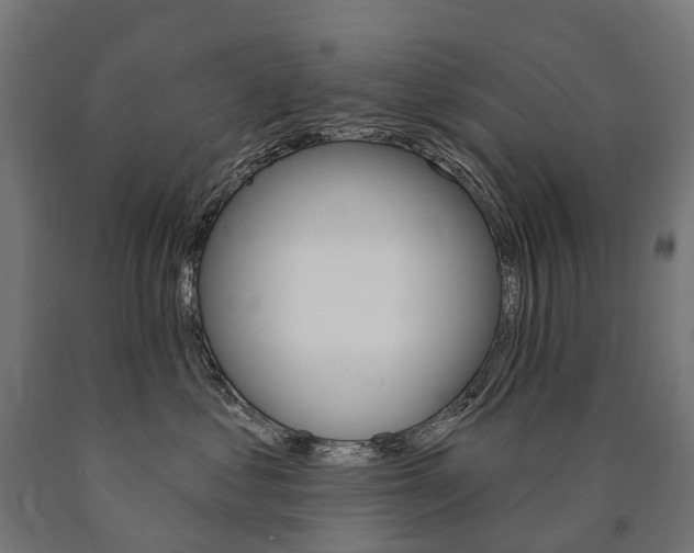 X0000091000621200708021226