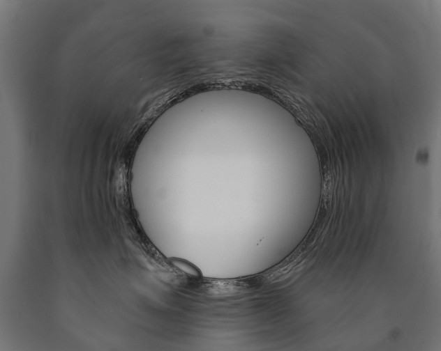 X0000091000623200708021226