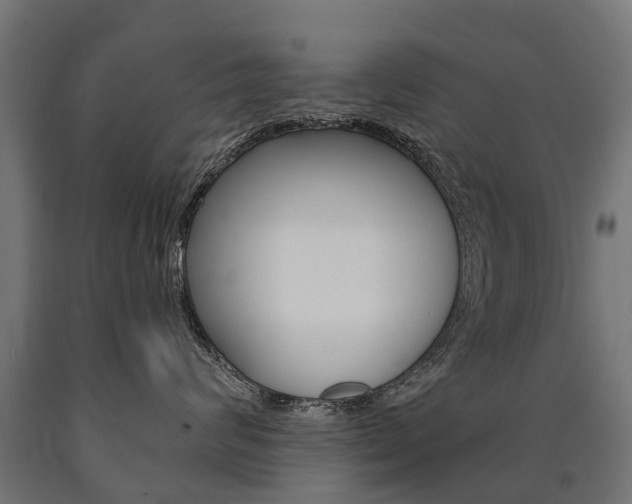 X0000091000624200708021226