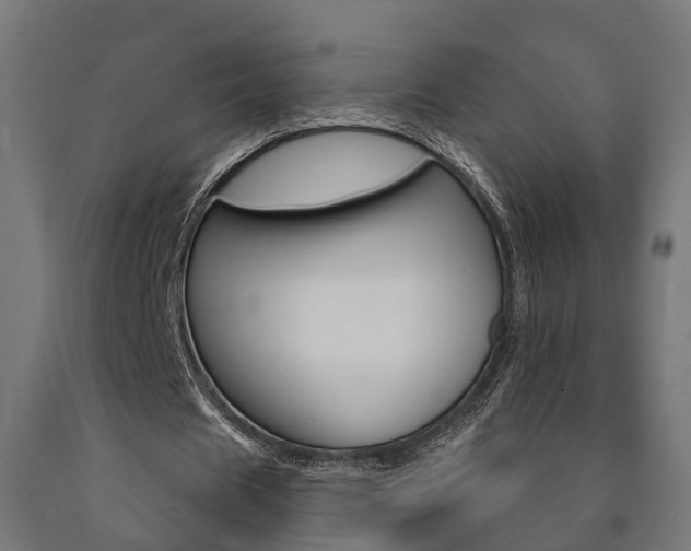 X0000091000625200708021225
