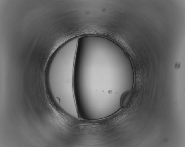 X0000091000626200708021226