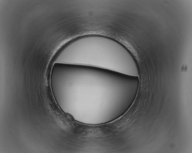 X0000091000628200708021226