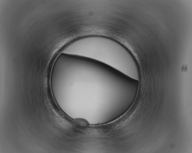 X0000091000629200708021226