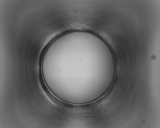 X0000091000630200708021226