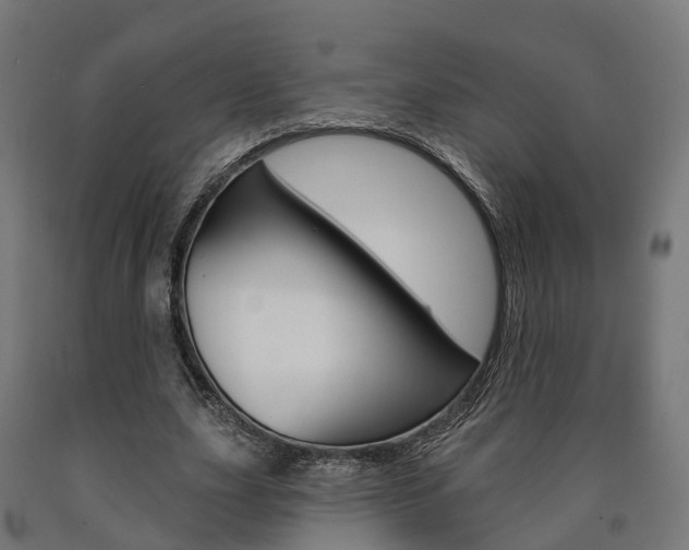 X0000091000631200708021226