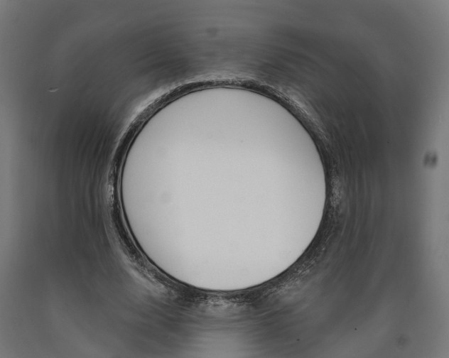 X0000091000632200708021226