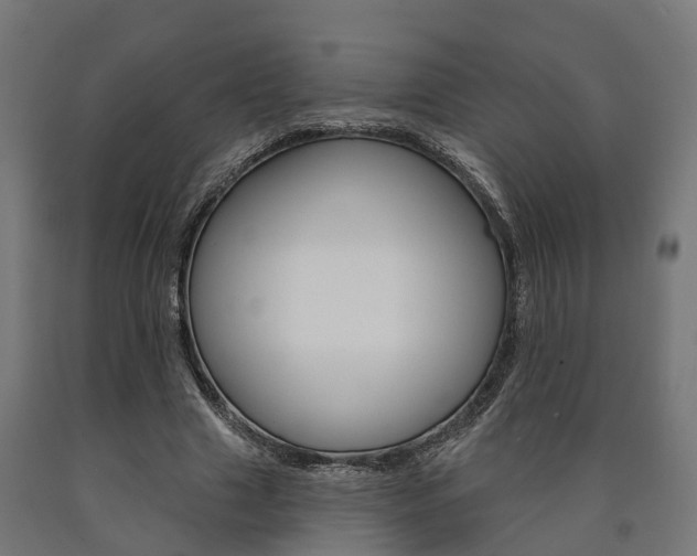 X0000091000633200708021226