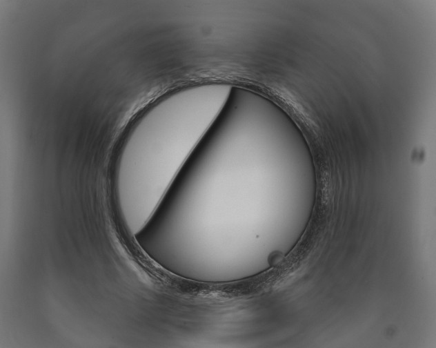 X0000091000634200708021226