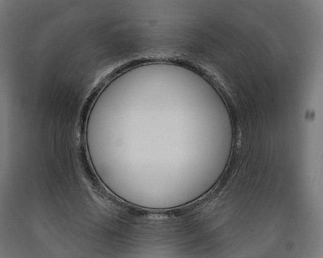 X0000091000636200708021226