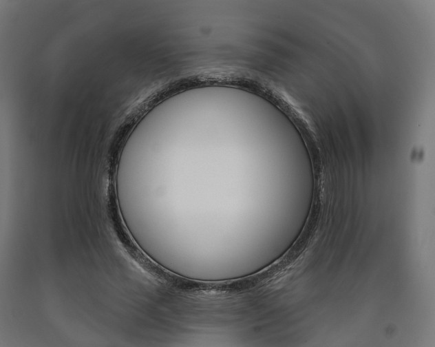 X0000091000637200708021226