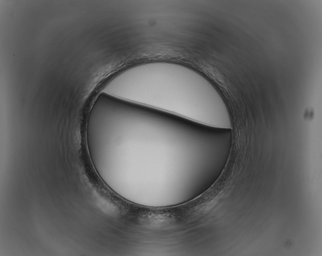 X0000091000638200708021226