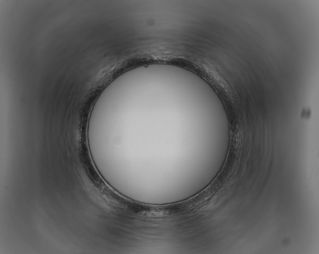 X0000091000639200708021226