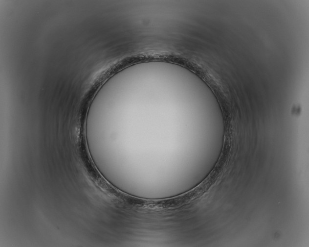 X0000091000640200708021226