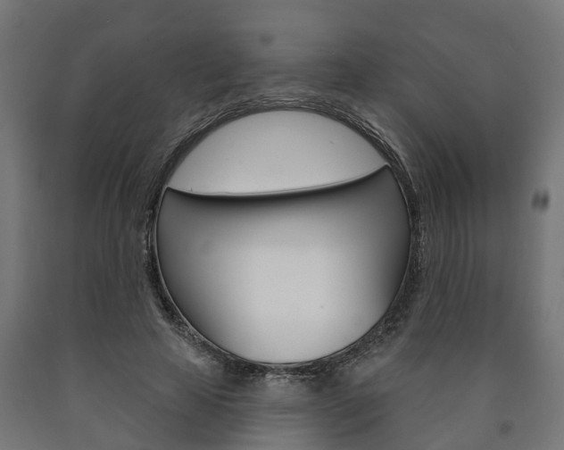 X0000091000641200708021226